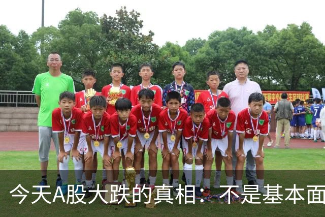 今天A股大跌的真相：不是基本面崩了，是流动性在出清……