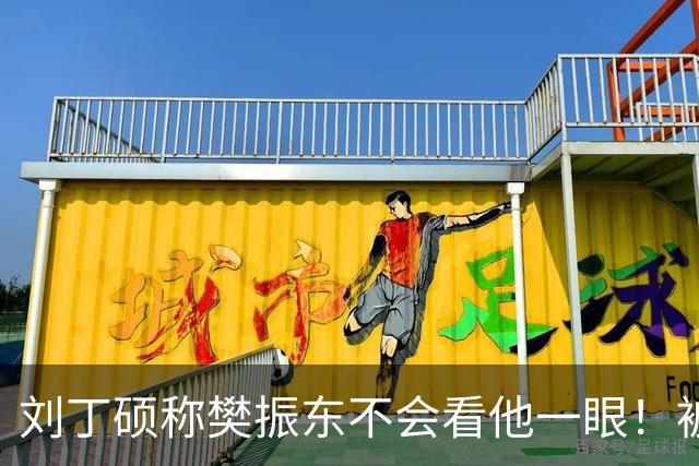 刘丁硕称樊振东不会看他一眼！被质疑以德报怨：2次公开落井下石