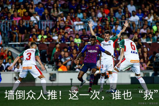 墙倒众人推！这一次，谁也“救”不了落井下石被“反噬”的杨议