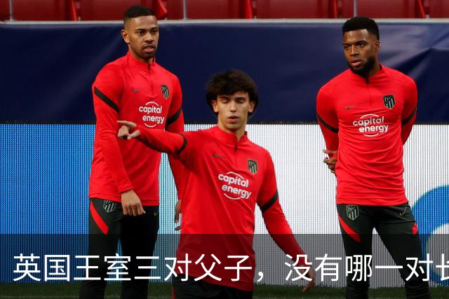 英国王室三对父子，没有哪一对长得像，无一例外都继承了母亲的颜值