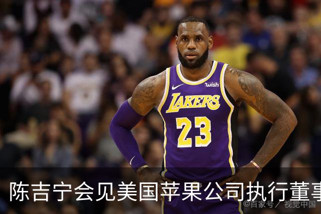 陈吉宁会见美国苹果公司执行董事长蒂姆·库克