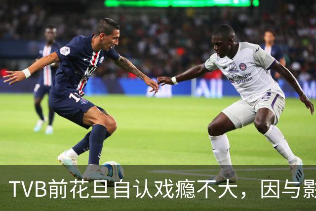 TVB前花旦自认戏瘾不大，因与影后合作而复出，日本公司仍在开
