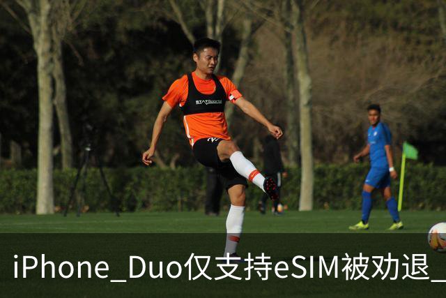 iPhone Duo仅支持eSIM被劝退 博主：出国就得删掉国内号码